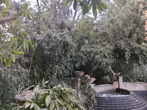 月光宝盒1080p粤语　大话西游之月光宝盒百度云-第1张