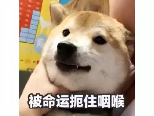 放开那三国2泰服更新慢　放开那三国1是不是要关服了-第5张