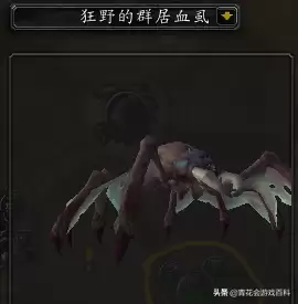 魔兽世界暴风城褐色酒　暴风城的葡萄酒在哪买-第13张