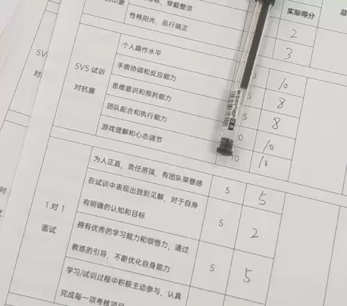 王者荣耀职业选手怎么训练　怎样成为王者荣耀职业选手-第2张