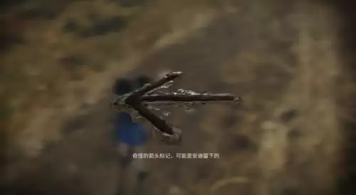 明日之后失窃的解药郁金香在哪　明日之后-第12张