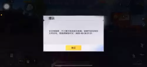 吃鸡什么叫kd　吃鸡游戏的kd在哪里看-第2张
