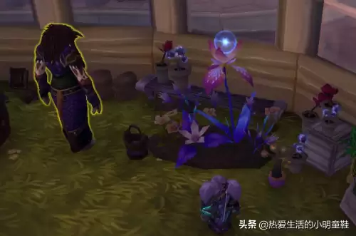wow60级哪个副本双采　魔兽世界怀旧服双采怎么赚钱-第2张