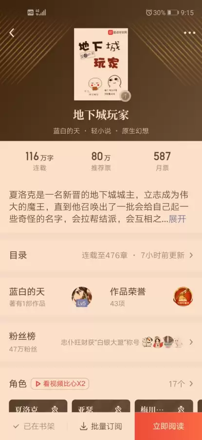 小说地下城玩家　关于地下城的小说-第1张