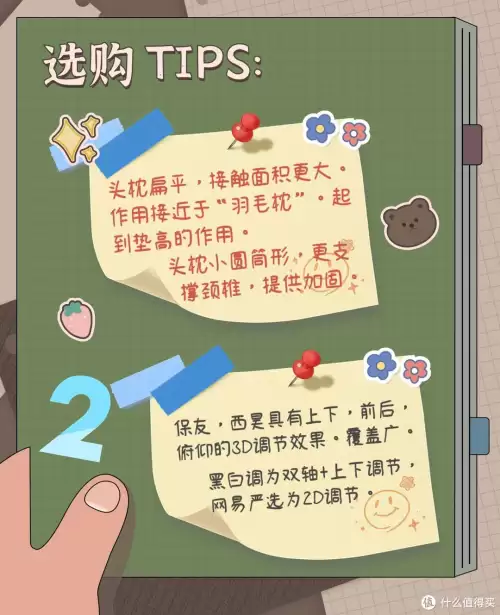 黑白2技能机　黑白和黑2白2-第16张