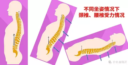 黑白2技能机　黑白和黑2白2-第20张