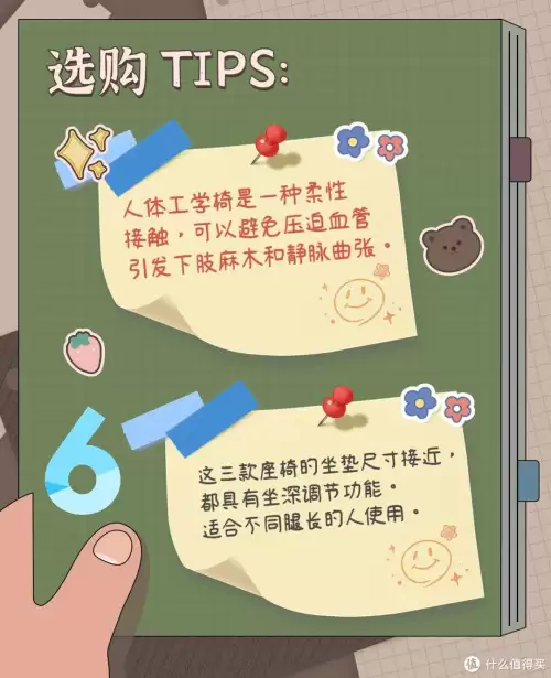 黑白2技能机　黑白和黑2白2-第29张