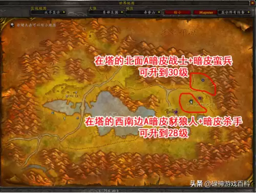 魔兽世界28级法师去哪升级　魔兽世界怀旧服法师升级详细攻略-第2张