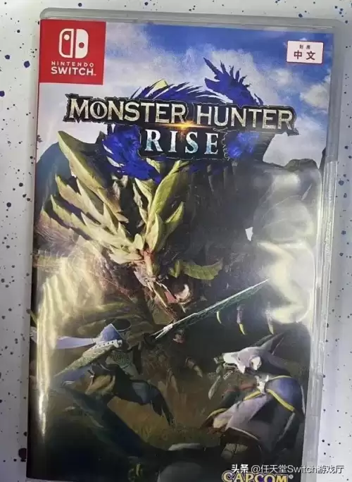怪物猎人rise巴西会加中文吗　switch怪物猎人崛起怎么设置中文-第1张