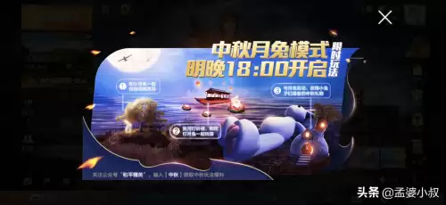 和平精英怎么不露出防弹衣　和平精英看不到自己穿的防弹衣-第1张