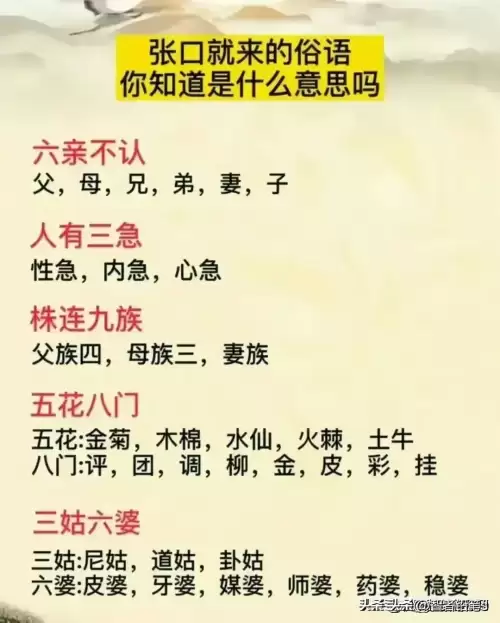 明日之后怎么看贡献排名　明日之后营地等级排名-第11张