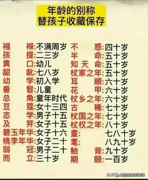 明日之后怎么看贡献排名　明日之后营地等级排名-第12张