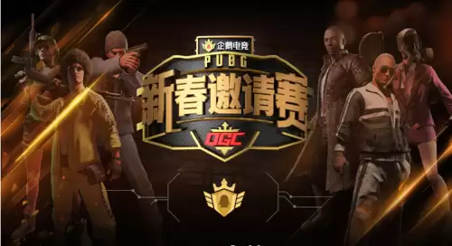 pubg赛事叫什么　PUBG赛事-第2张